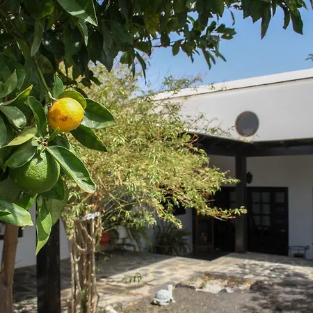 Casa Cris Holiday home Puerto del Carmen (Lanzarote)